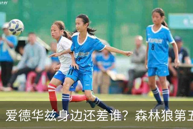 爱德华兹身边还差谁？森林狼第五位首发到底怎么选